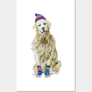 Golden Retriever wearing winter outfit Posters and Art